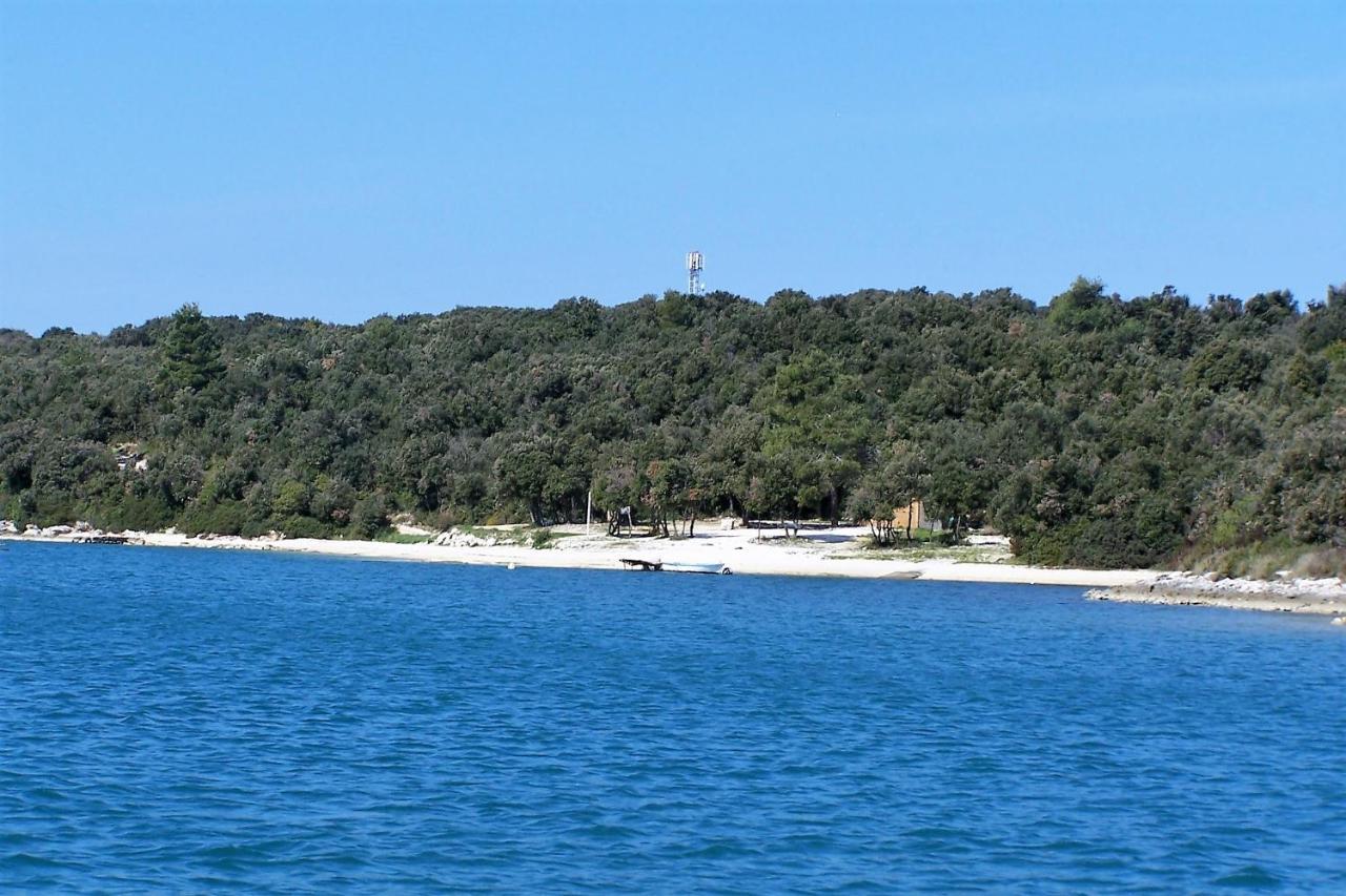 Ivis Vinkuran